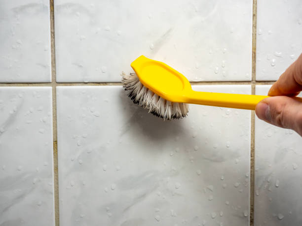 Best Health and Safety Mold Remediation in Pomeroy, OH